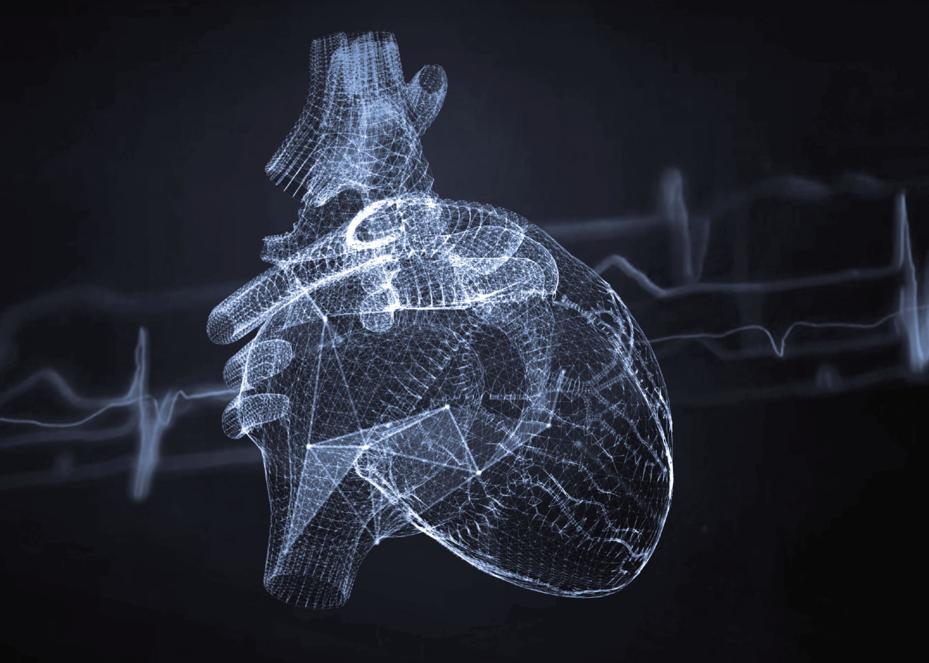 Comprehensive Cardiac Imaging